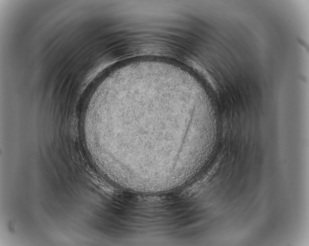 X0000096701019200803041317