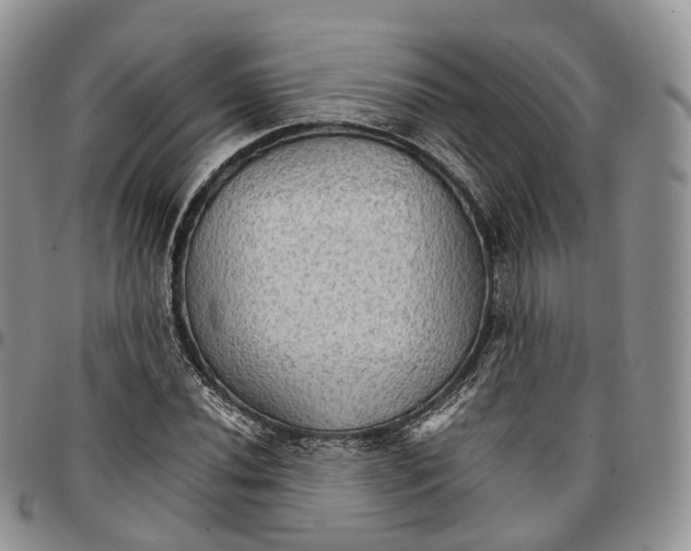 X0000096701020200803041317