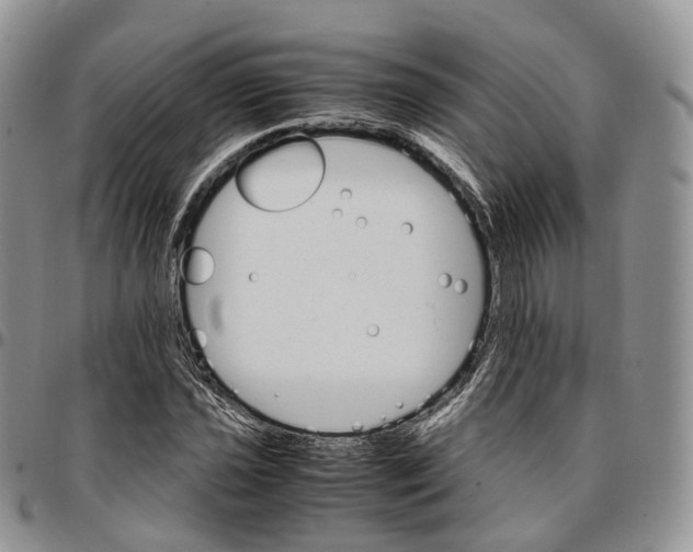 X0000096701021200803041317