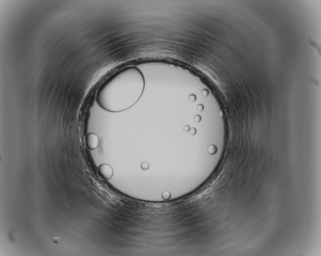 X0000096701022200803041317