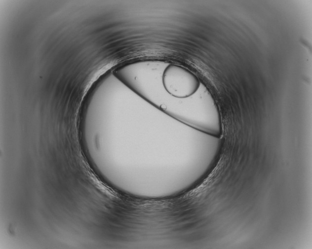 X0000096701026200803041317