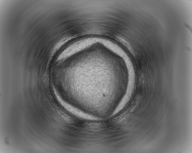 X0000096701027200803041317