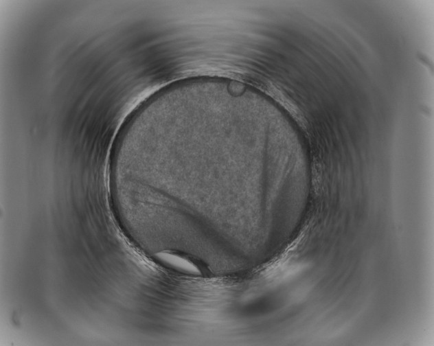 X0000096701028200803041317