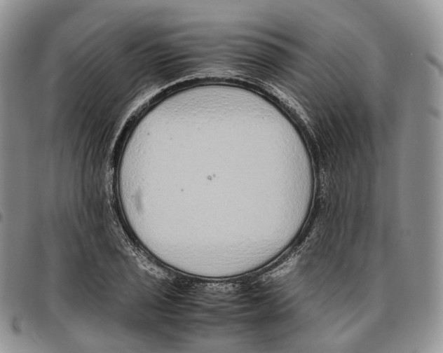 X0000096701029200803041317