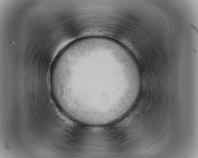 X0000096701030200803041317