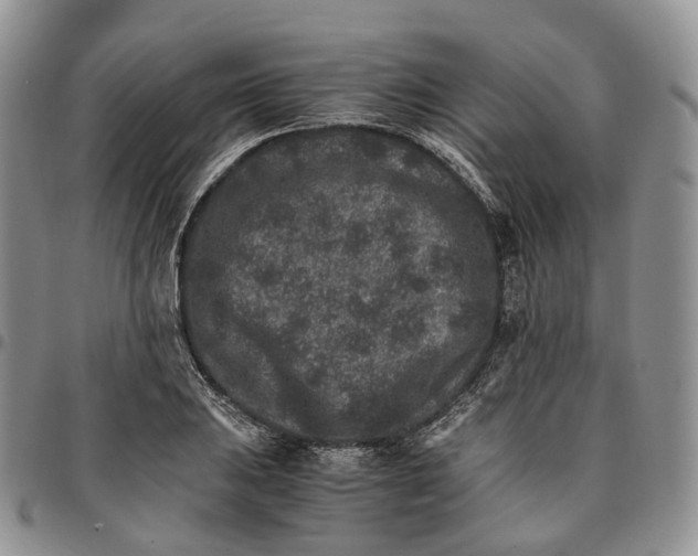 X0000096701031200803041317