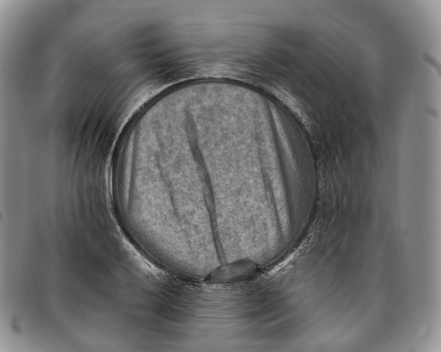 X0000096701032200803041317