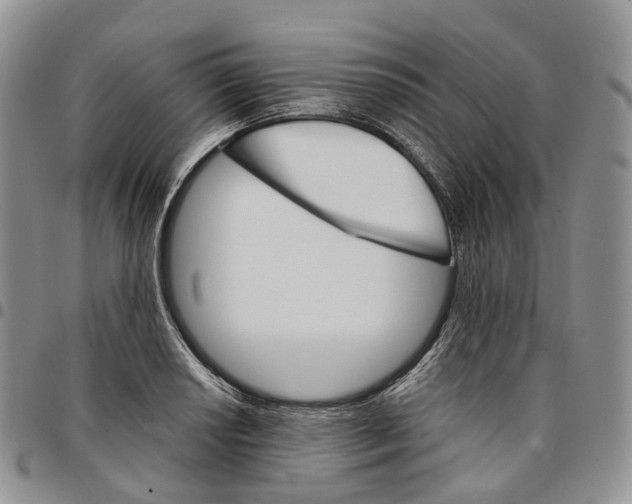 X0000096701034200803041317