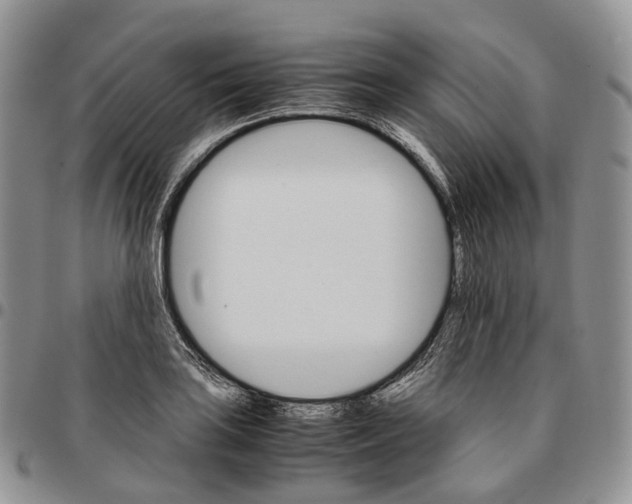 X0000096701035200803041317