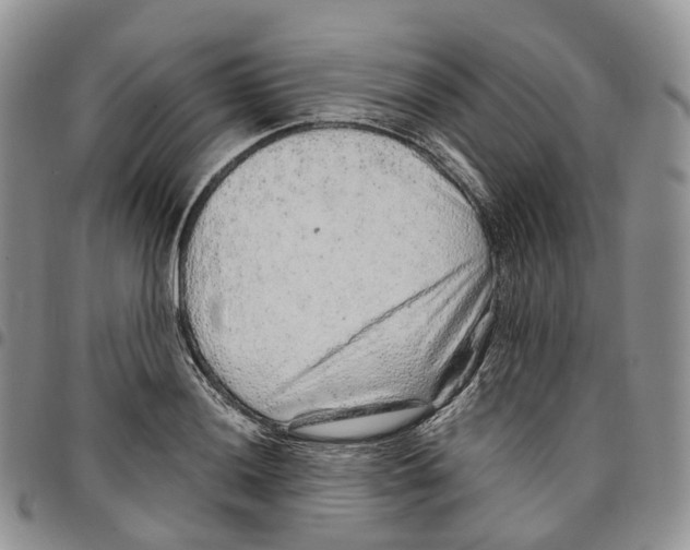 X0000096701036200803041317