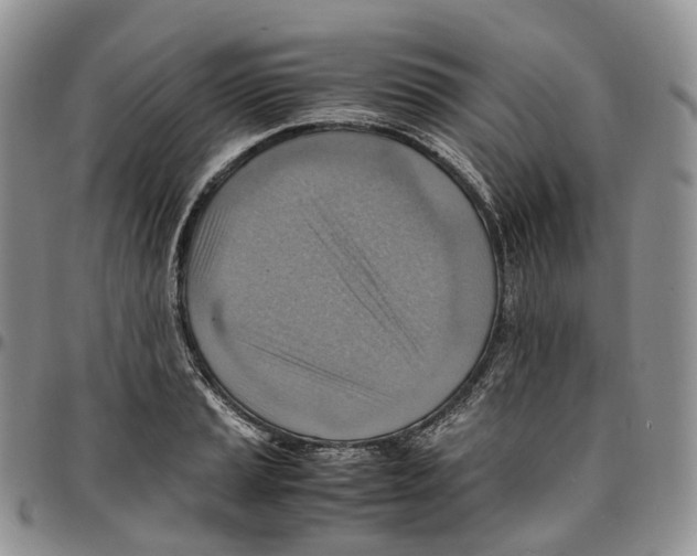 X0000096701037200803041317