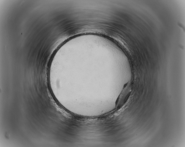 X0000096701038200803041317