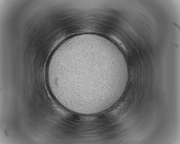 X0000096701039200803041317