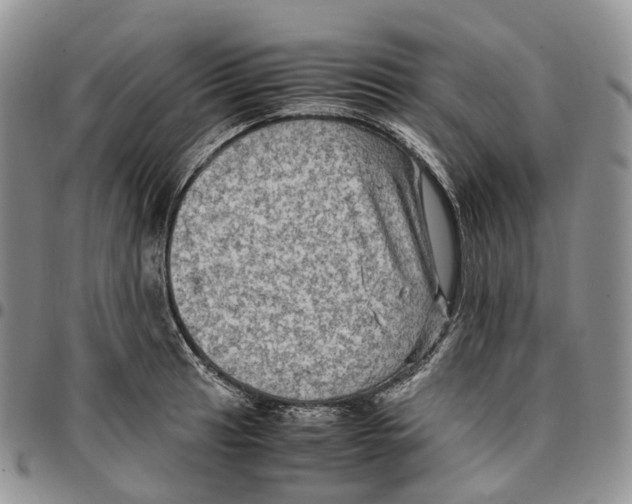 X0000096701041200803041317