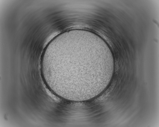 X0000096701042200803041317