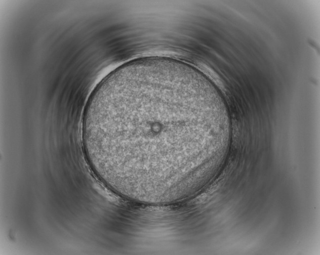 X0000096701044200803041317
