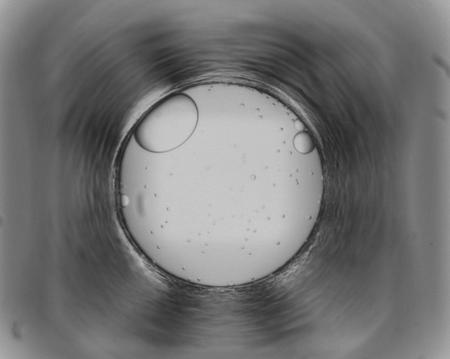 X0000096701050200803041317