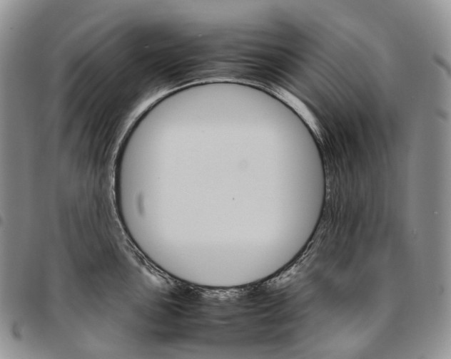 X0000096701051200803041317