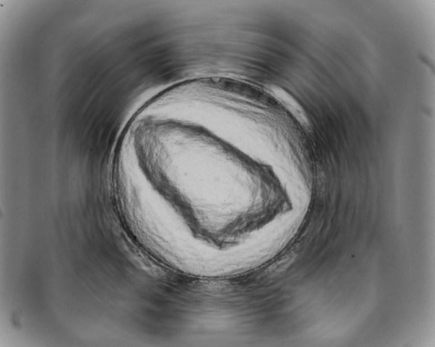 X0000096701052200803041317