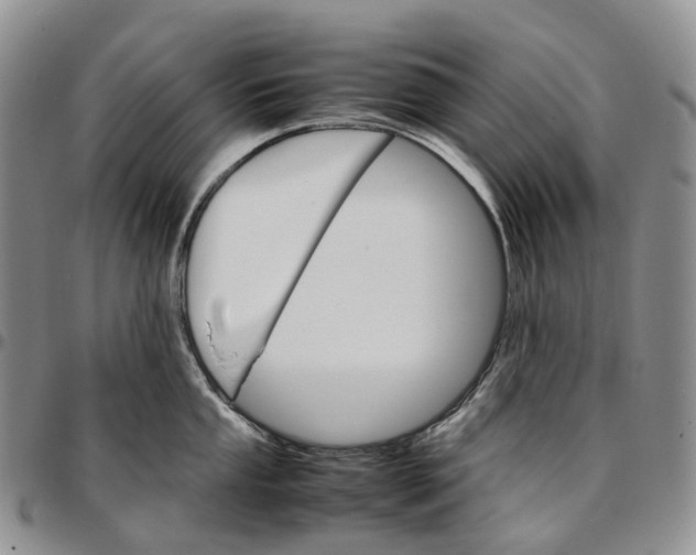 X0000096701053200803041317