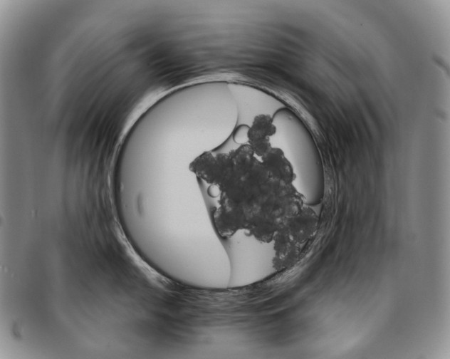 X0000096701054200803041317