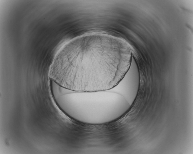 X0000096701055200803041317