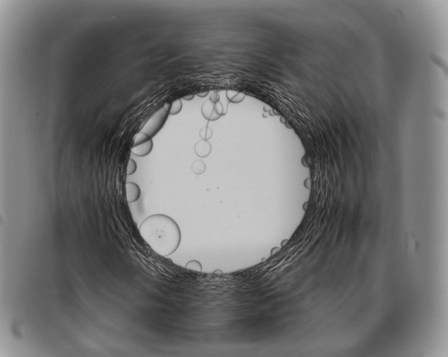 X0000096701058200803041316