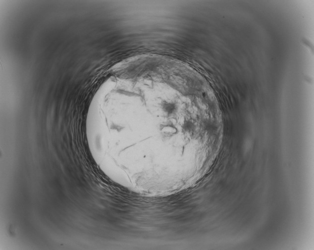 X0000096701059200803041316