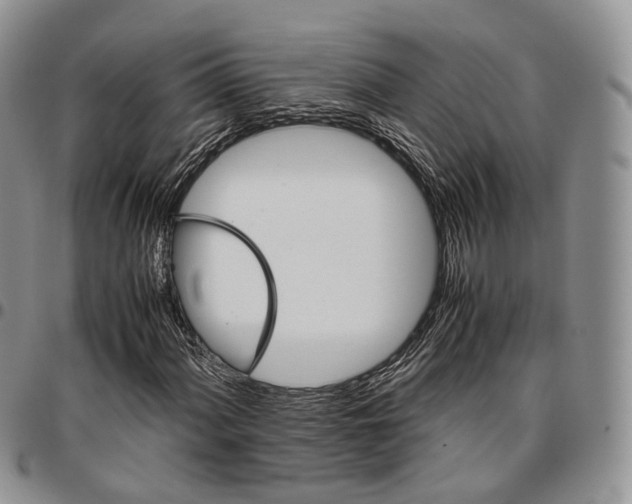 X0000096701060200803041316