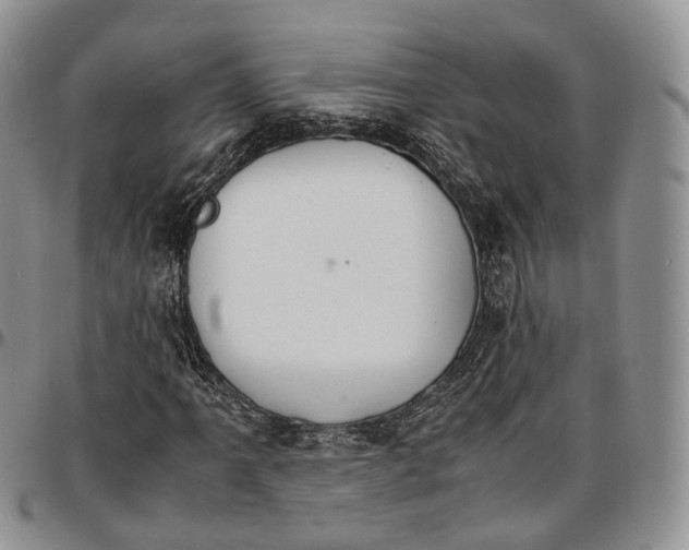 X0000096701061200803041316