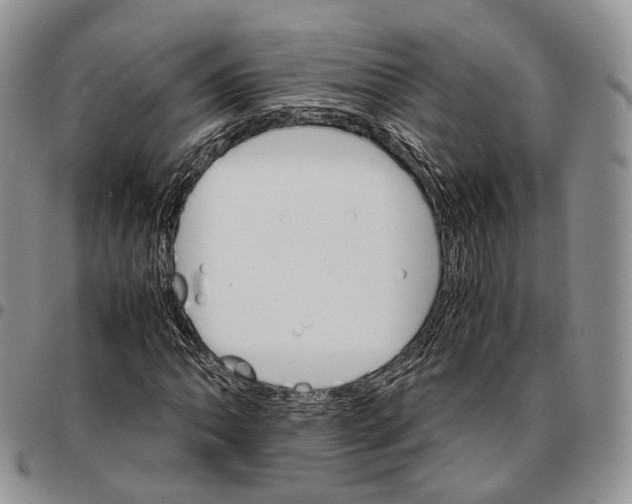 X0000096701062200803041316
