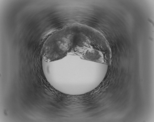 X0000096701063200803041316