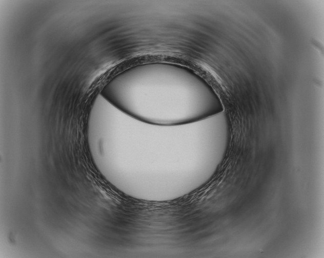 X0000096701064200803041316