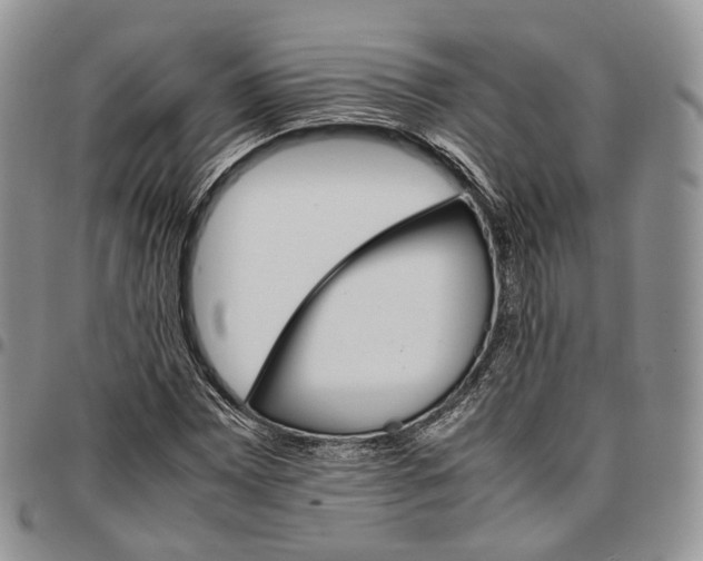 X0000096701065200803041316