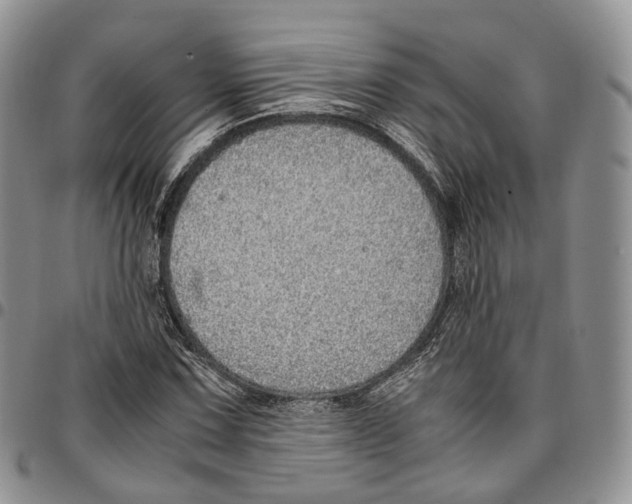 X0000096701067200803041316