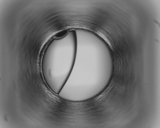 X0000096701068200803041316