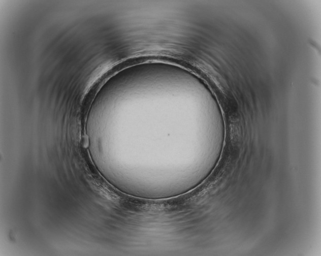 X0000096701069200803041316