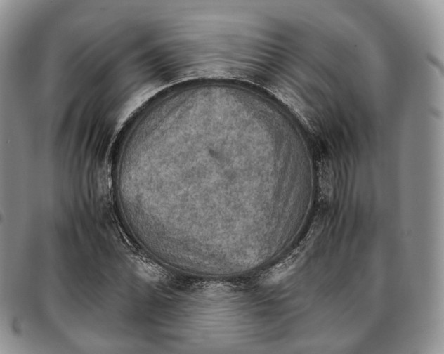 X0000096701070200803041316