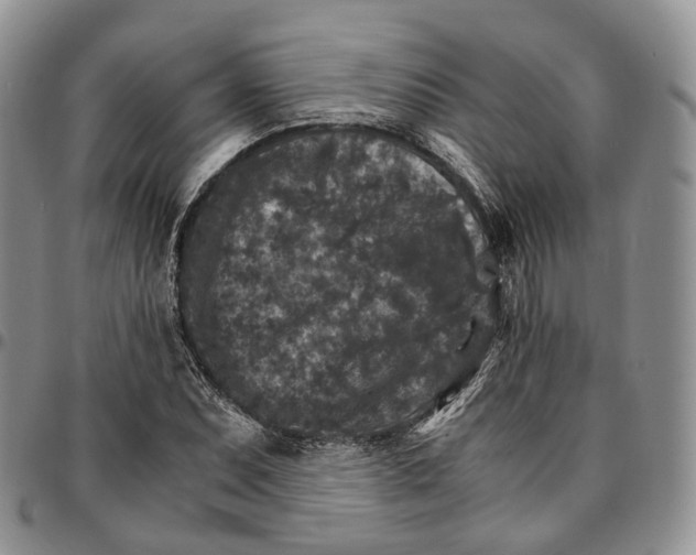 X0000096701071200803041316