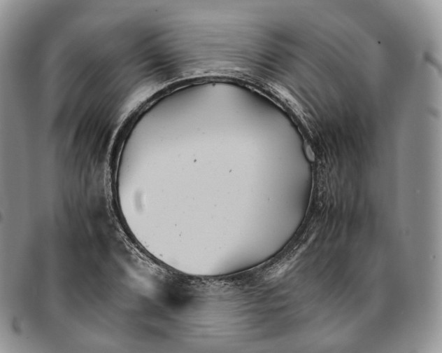 X0000096701072200803041316