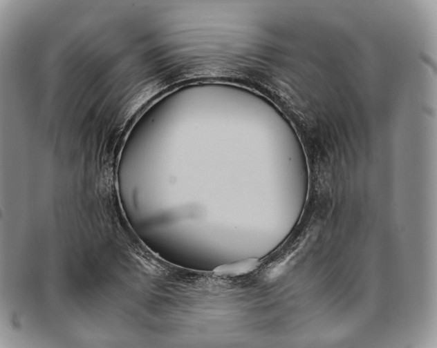 X0000096701073200803041316