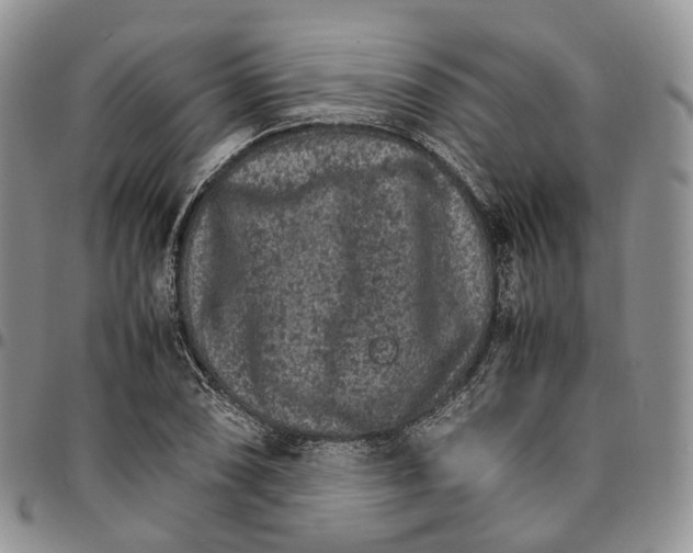 X0000096701074200803041316