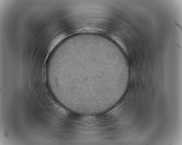 X0000096701075200803041316