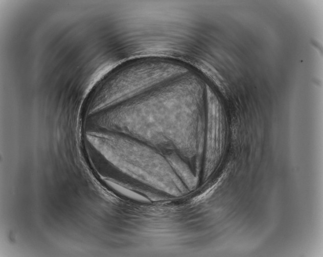 X0000096701077200803041316