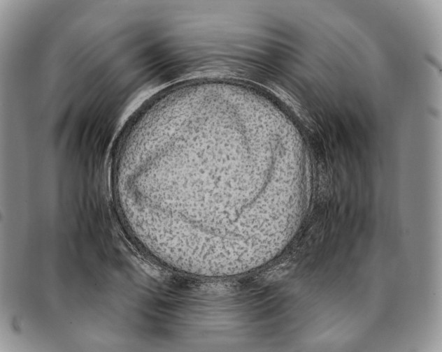 X0000096701078200803041316