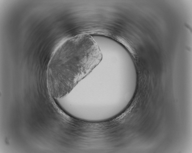 X0000096701079200803041316