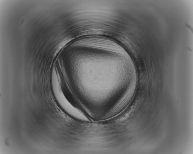 X0000096701081200803041316