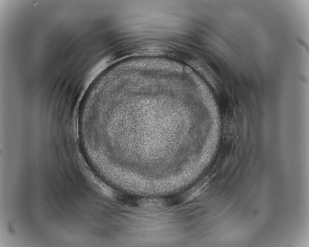 X0000096701083200803041316