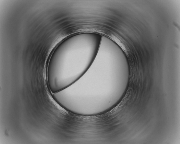 X0000096701084200803041316