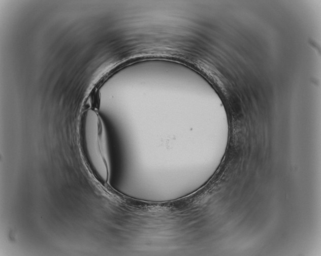 X0000096701085200803041316